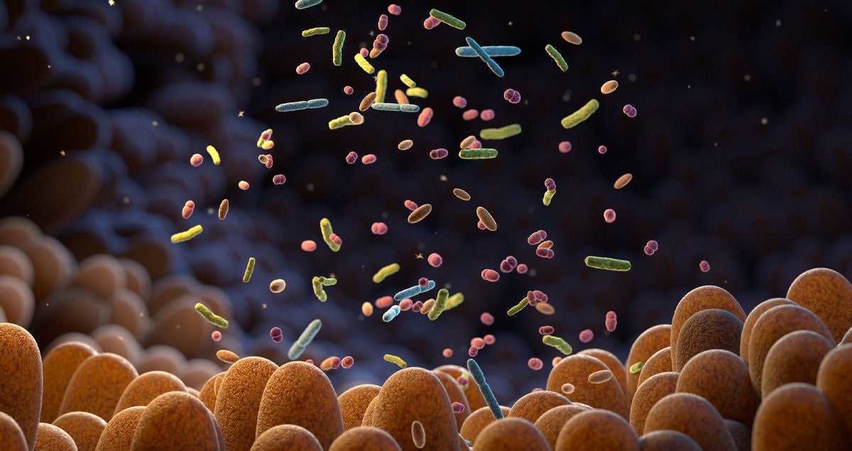 Mehrfach vergrößerte Aufnahme der Darmbakterien, die das Mikrobiom bilden. Bildquelle: iStock / iLexx