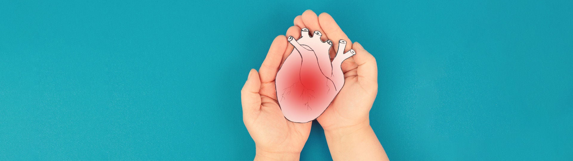 Kinderhände halten ein Papiermodell eines entzündeten Herzmuskels.