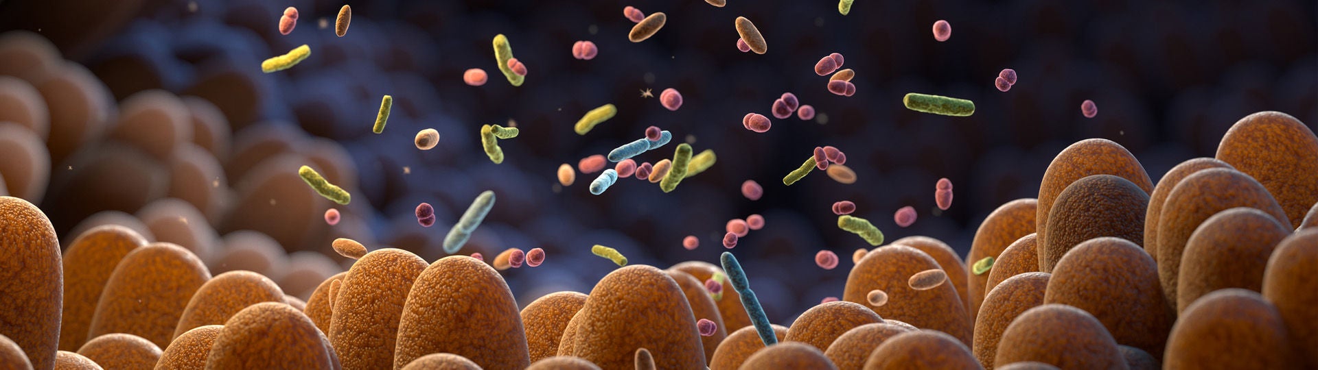 Mehrfach vergrößerte Aufnahme der Darmbakterien, die das Mikrobiom bilden. Bildquelle: iStock / iLexx