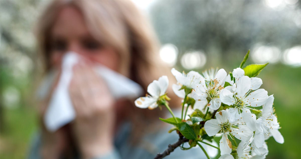 Eine blonde Frau niest in ein Taschentuch hinter einem Apfelbaumzweig mit weißen Blüten. Bildquelle: iStock/Zbynek Pospisil